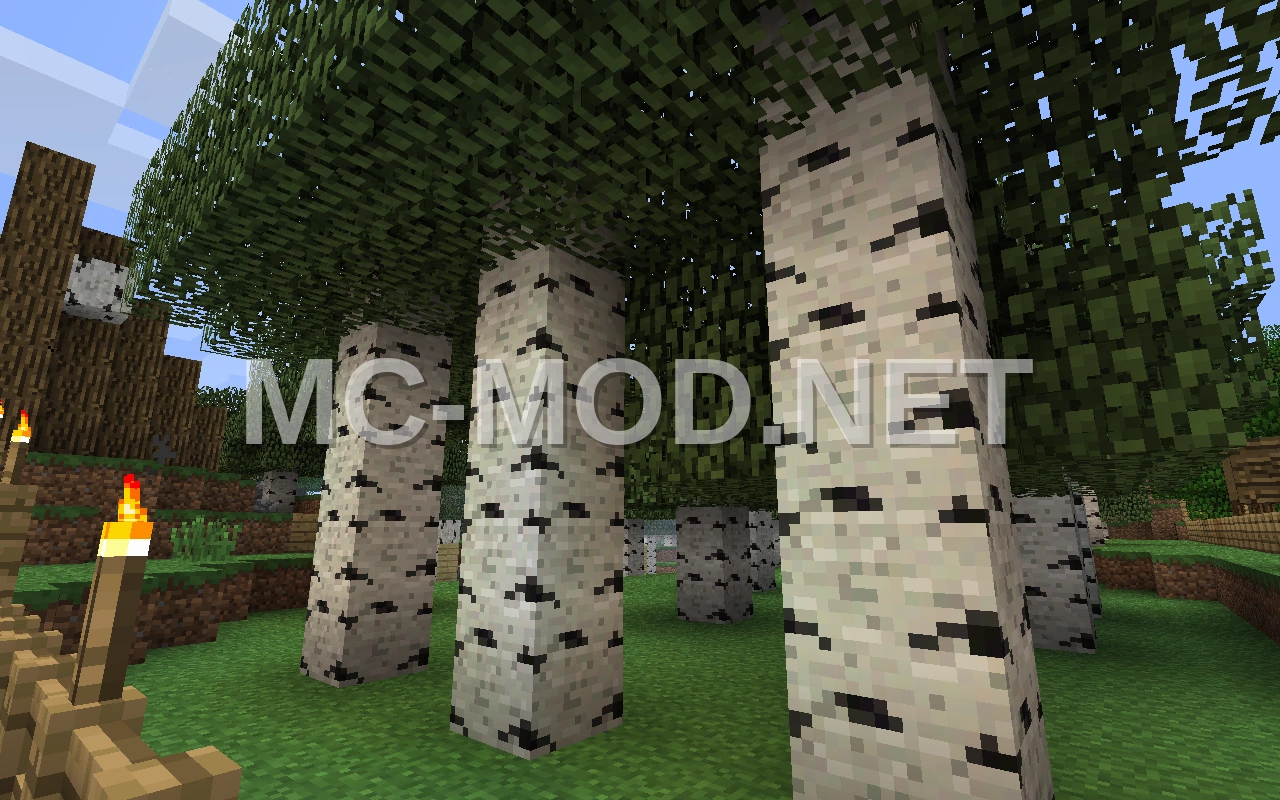 Compact Wood Production Farm