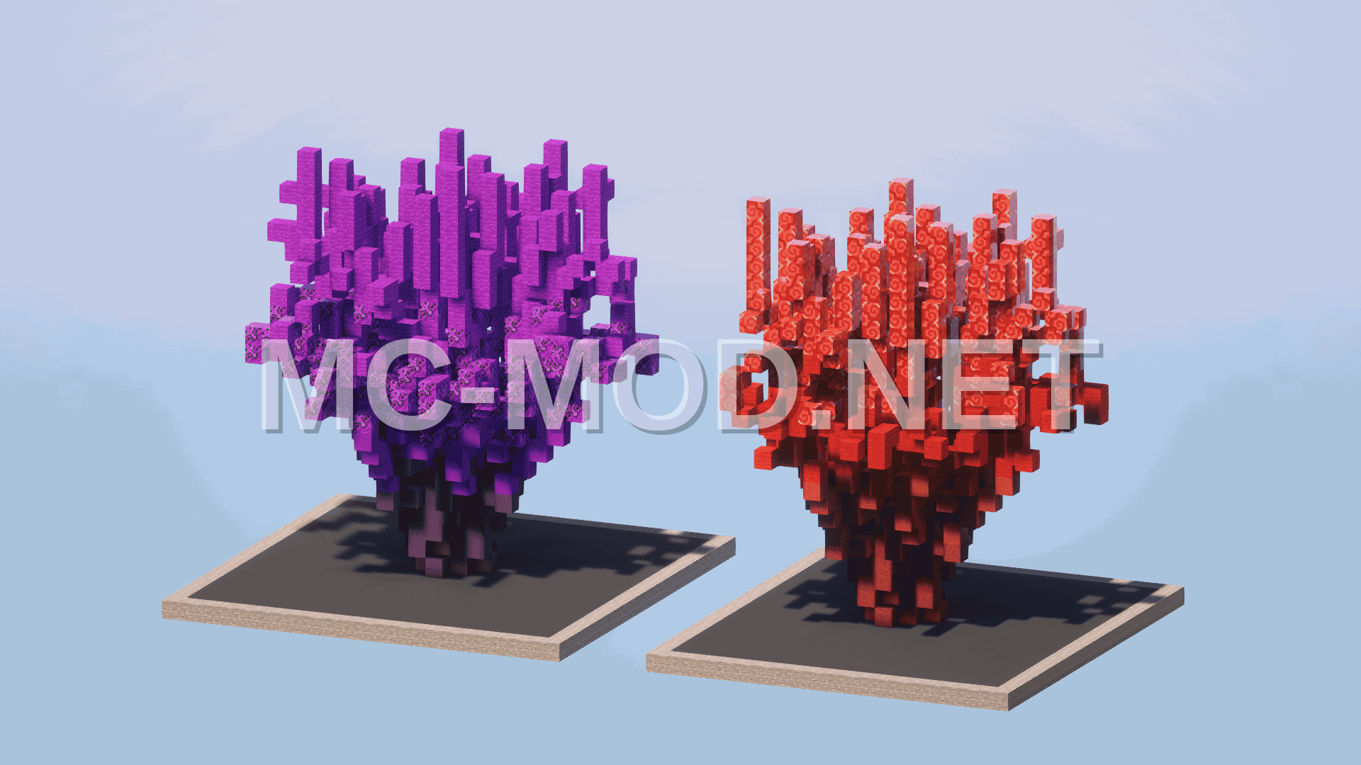 Custom Coral Tree Pack