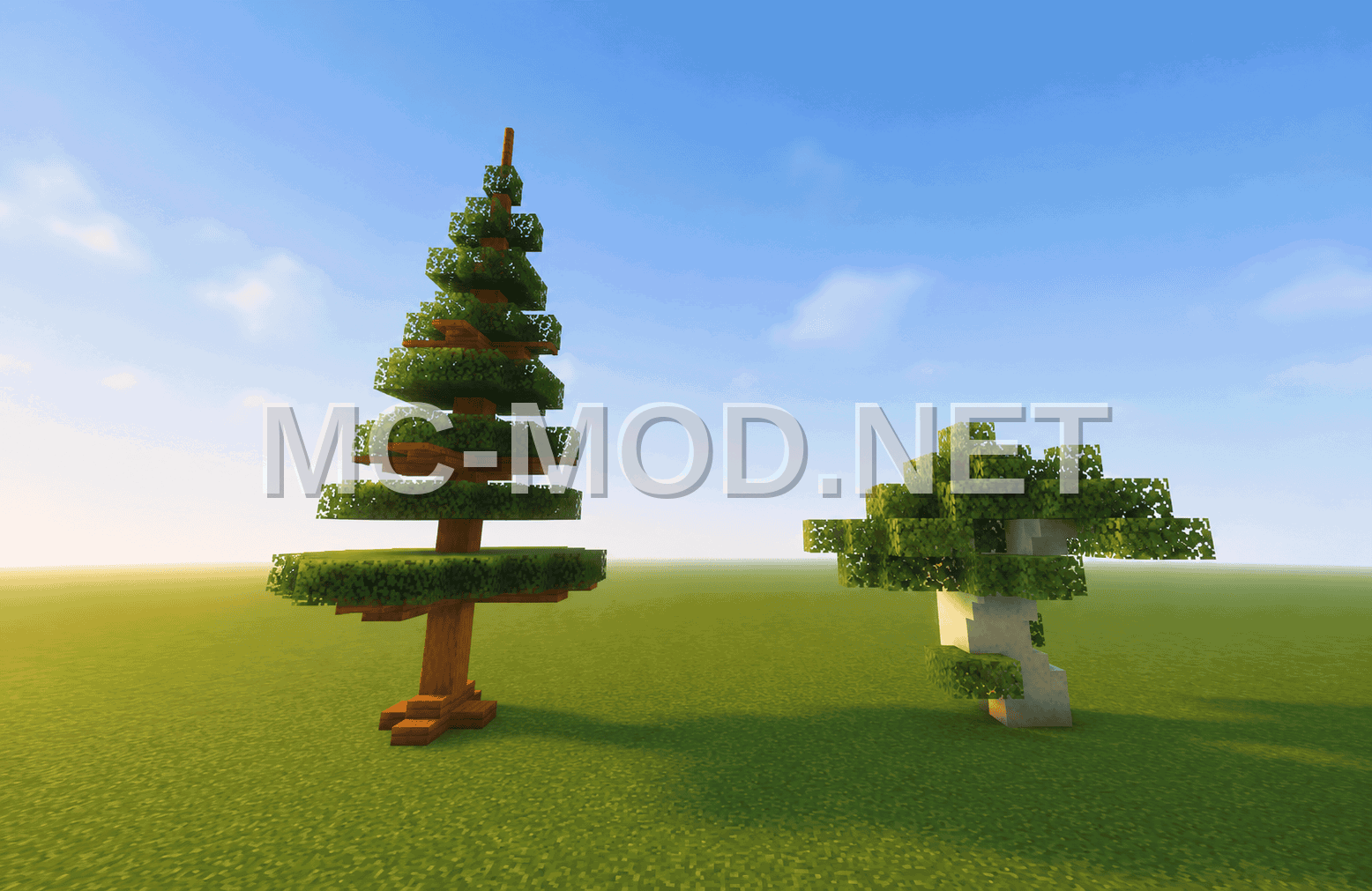 Custom Trees Decoration