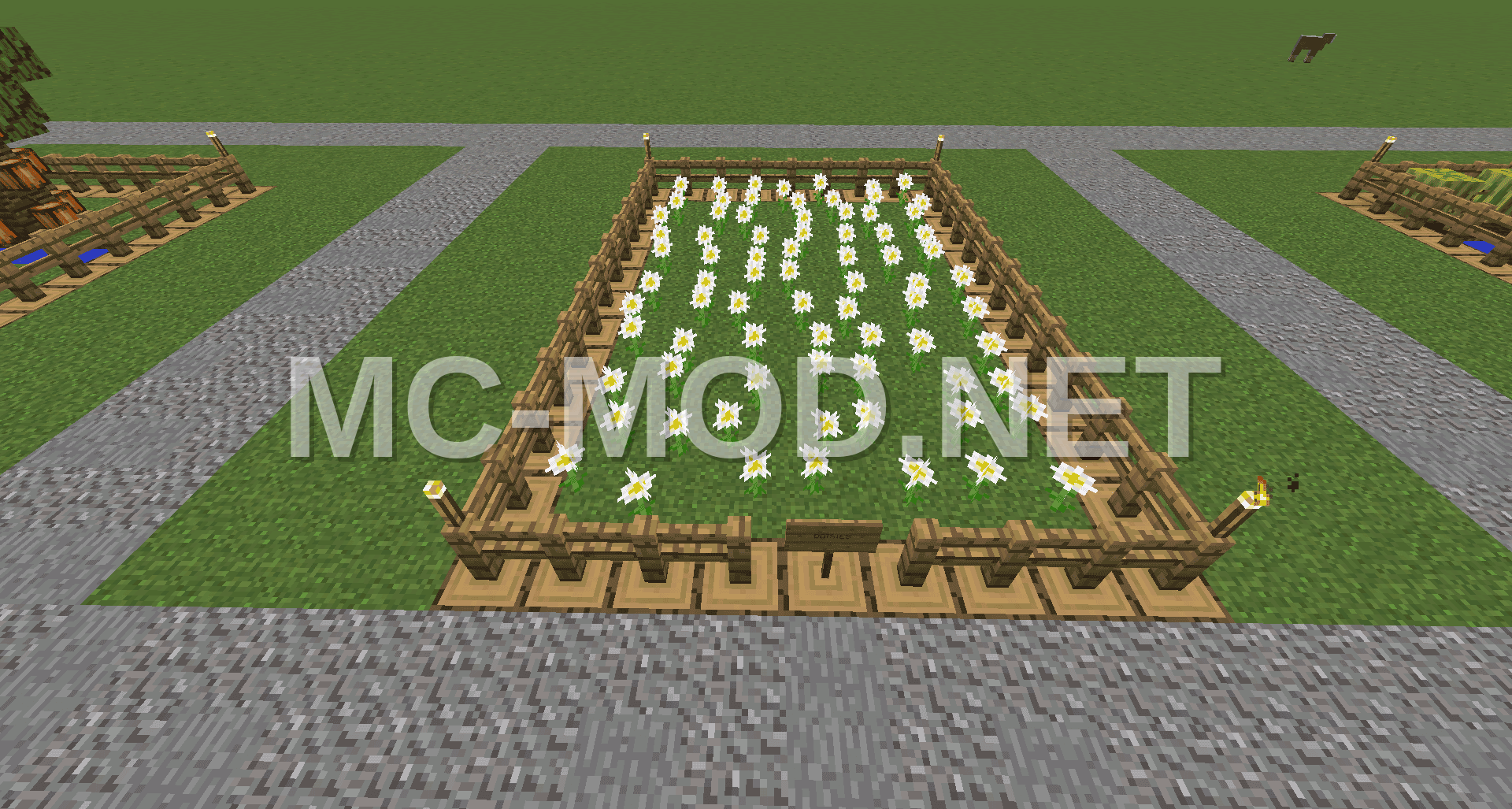 Daisy Farm Schematic
