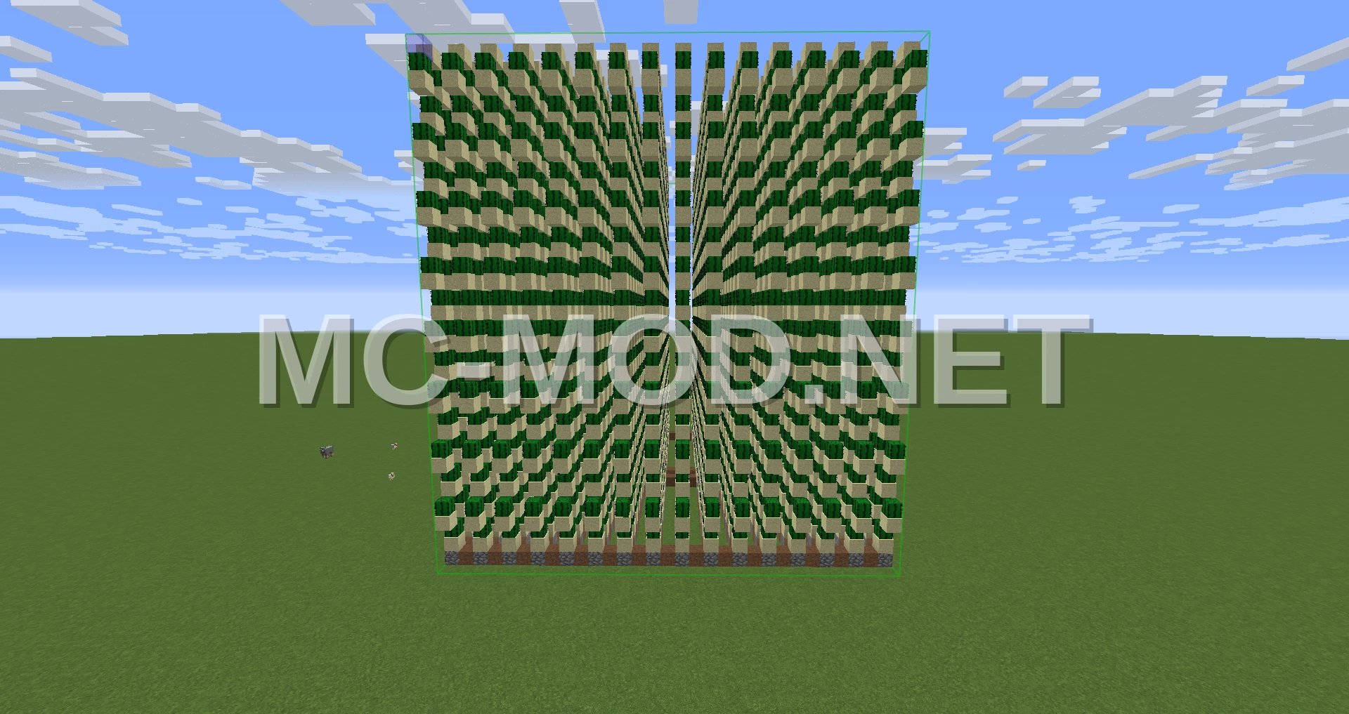 Efficient Auto Cactus Farm