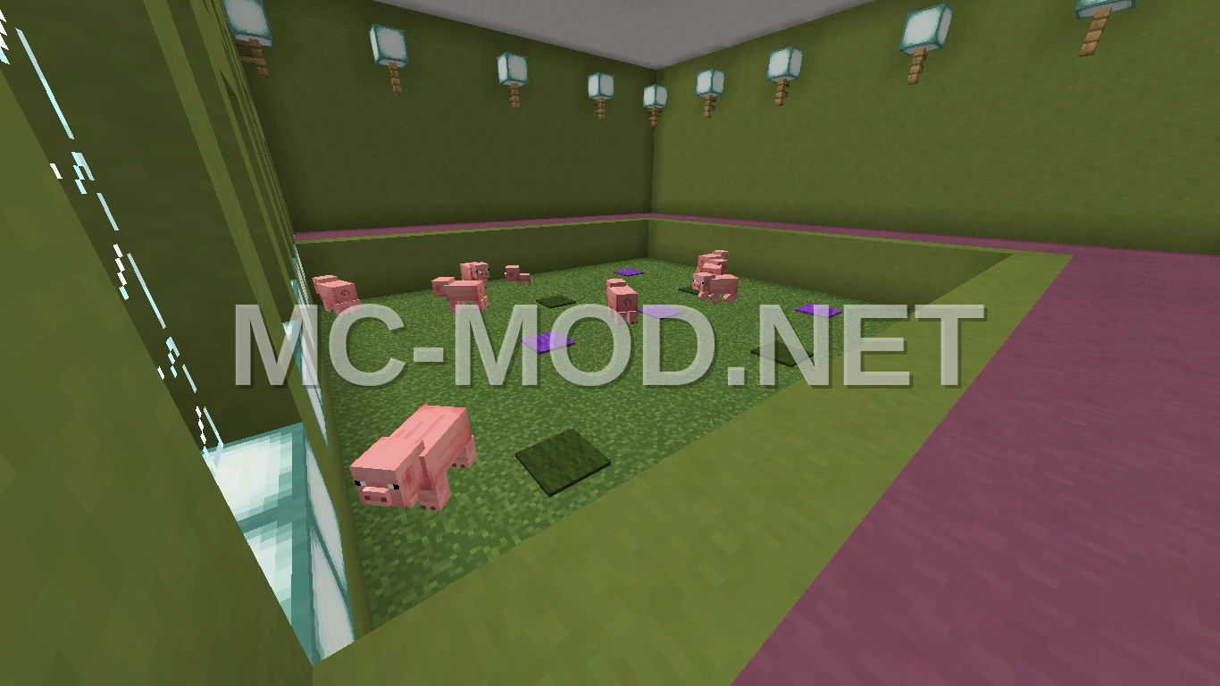 Minecraft Server Shop Essentials