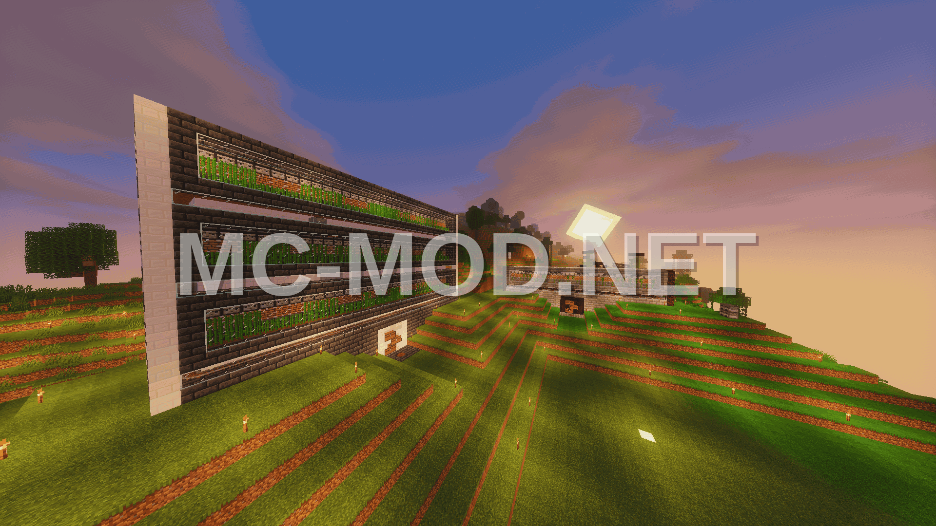 Expandable Sugar Cane Farm