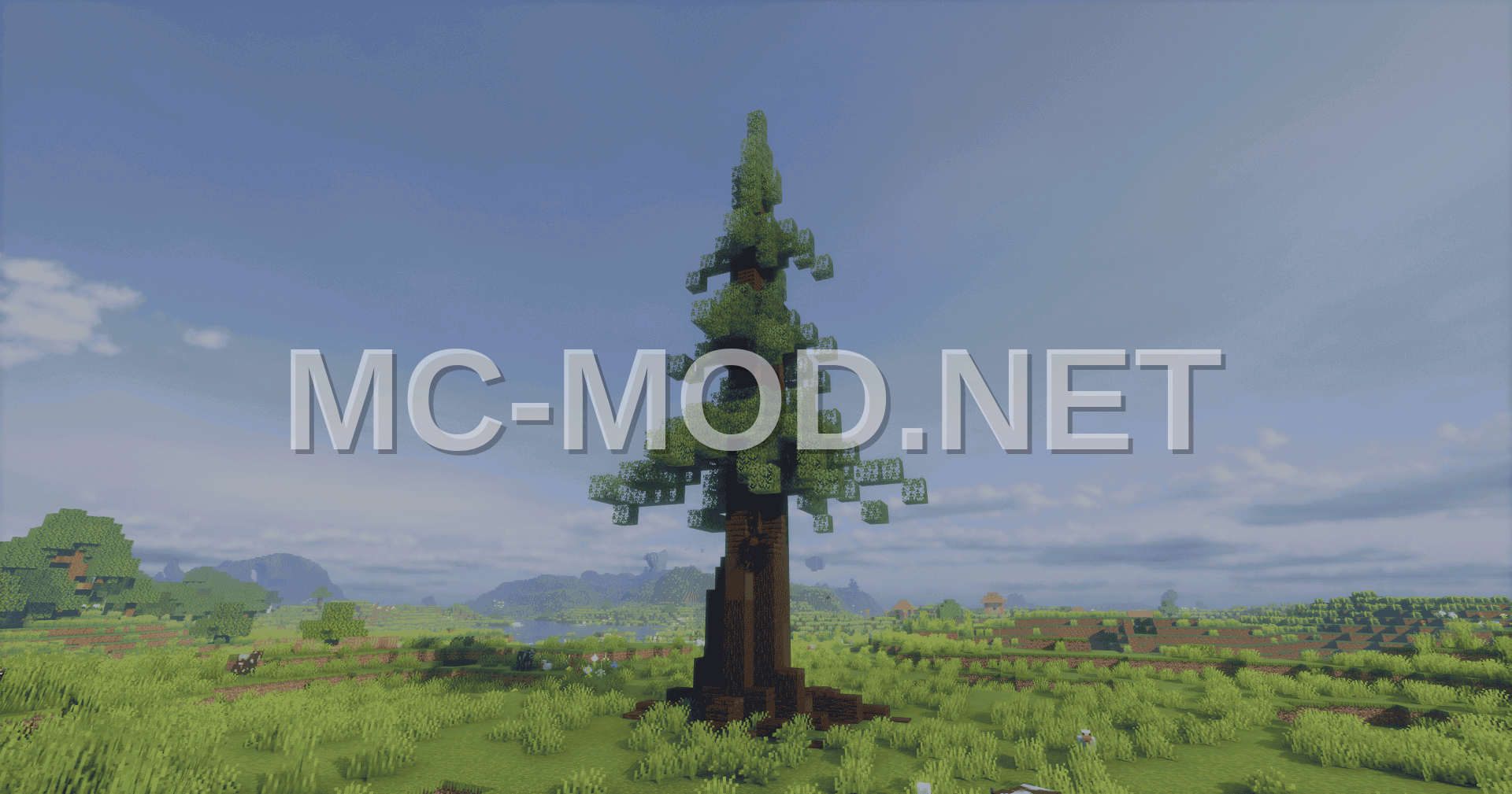 Exterior Decorative Pine Model