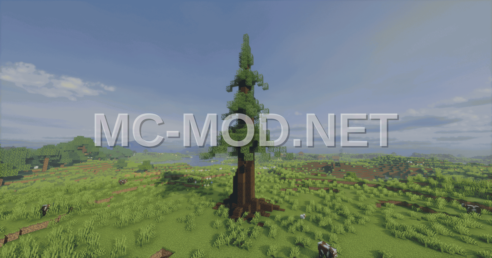 Exterior Decorative Pine Model