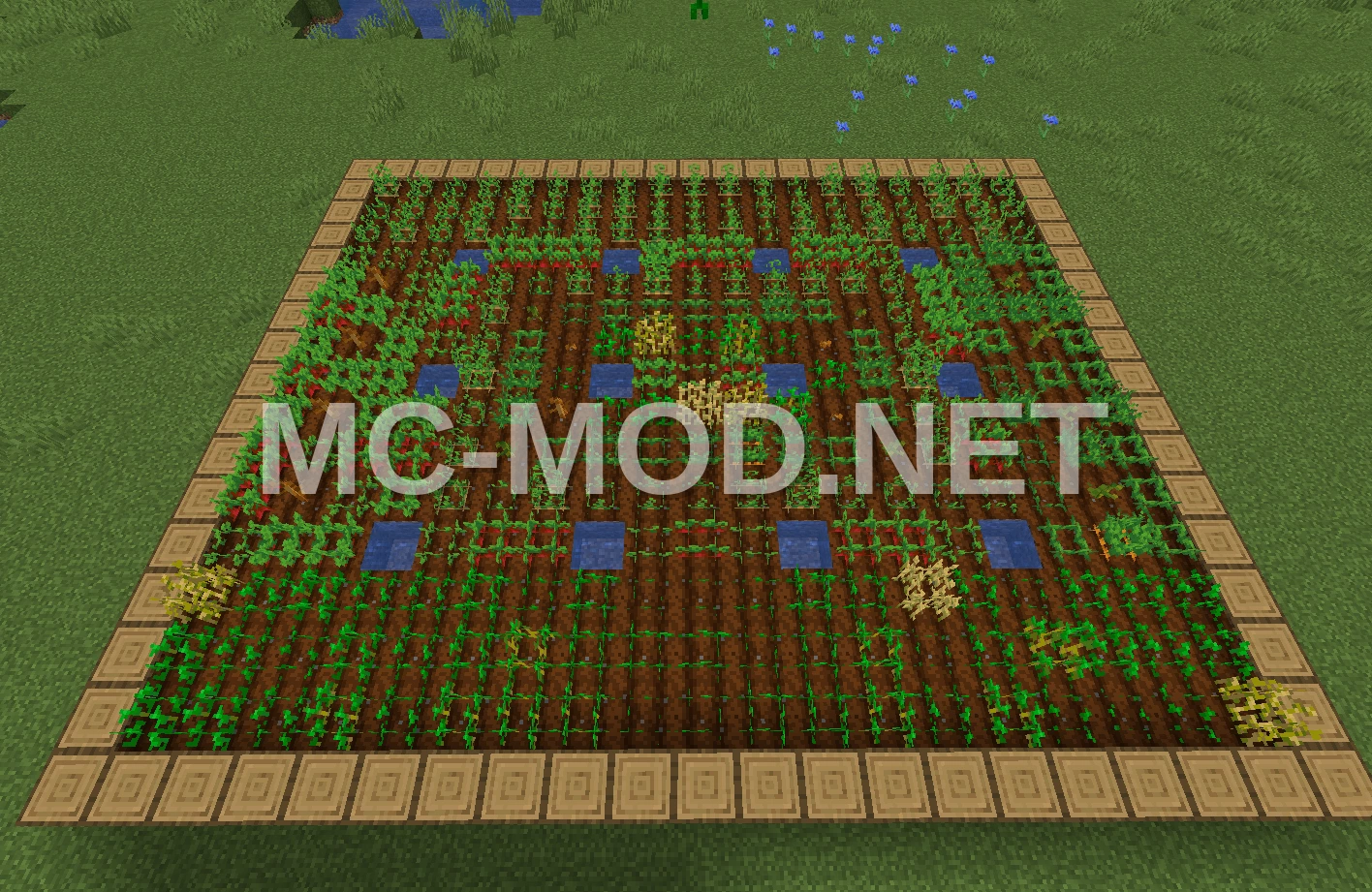 Field 21×17 Area