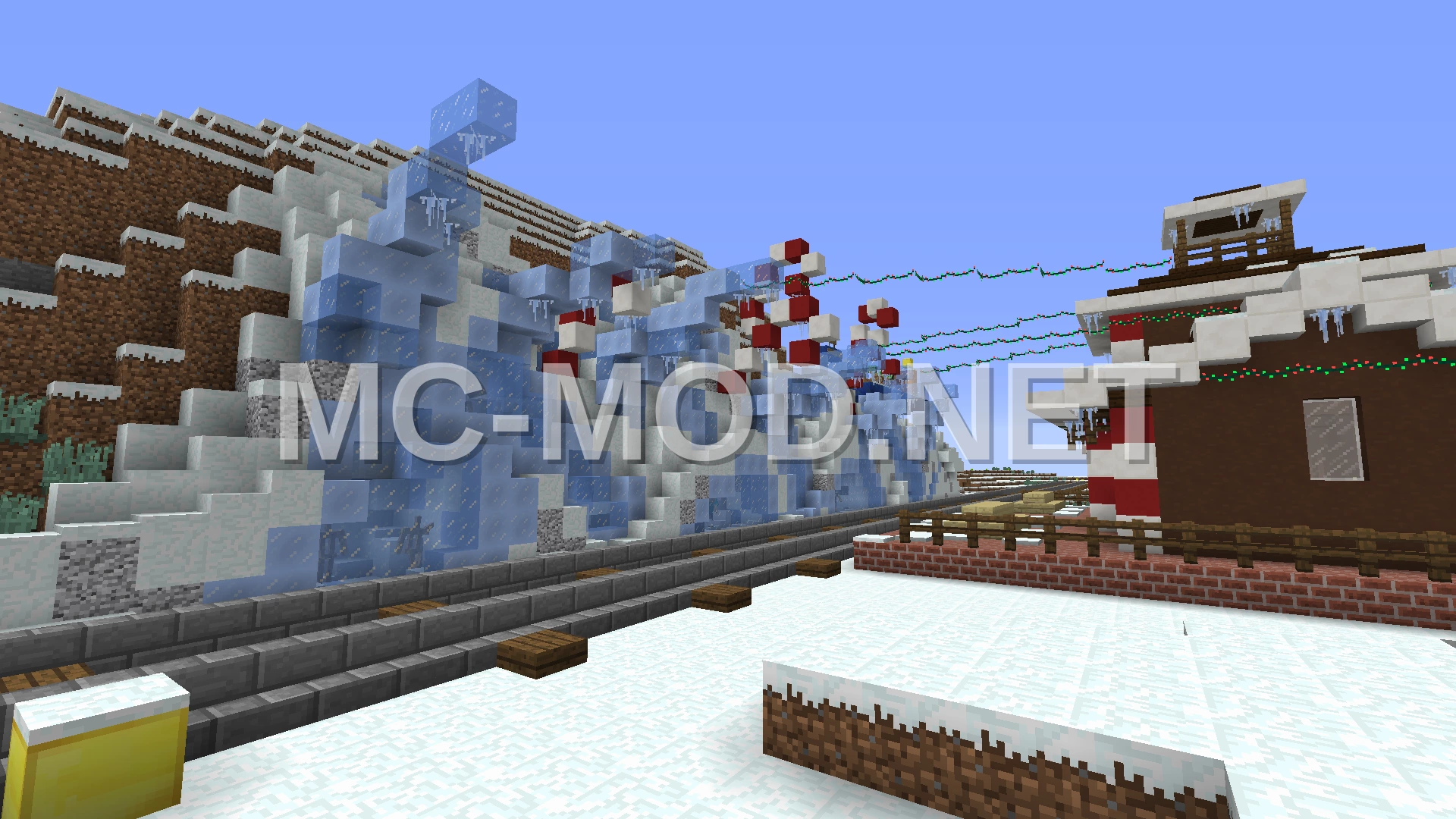 Frozen Tribute Wall Showcase