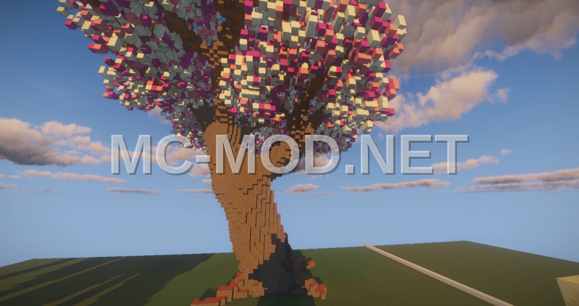 Giant Cherry Blossom Tree