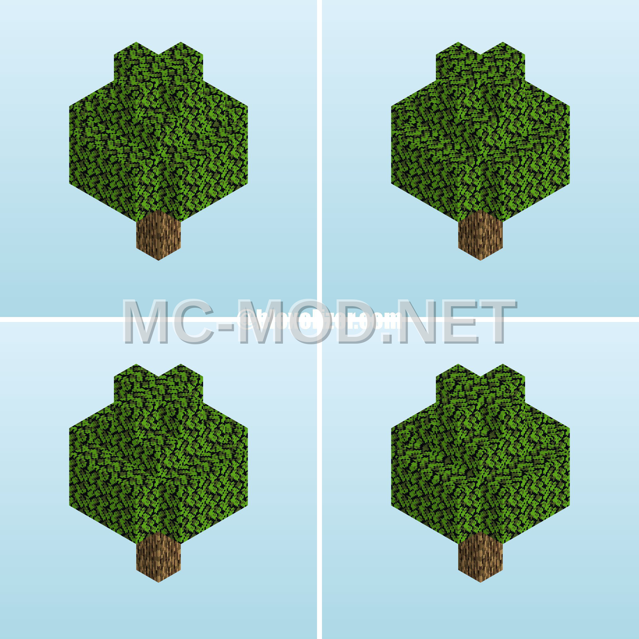 Giant Oak Tree