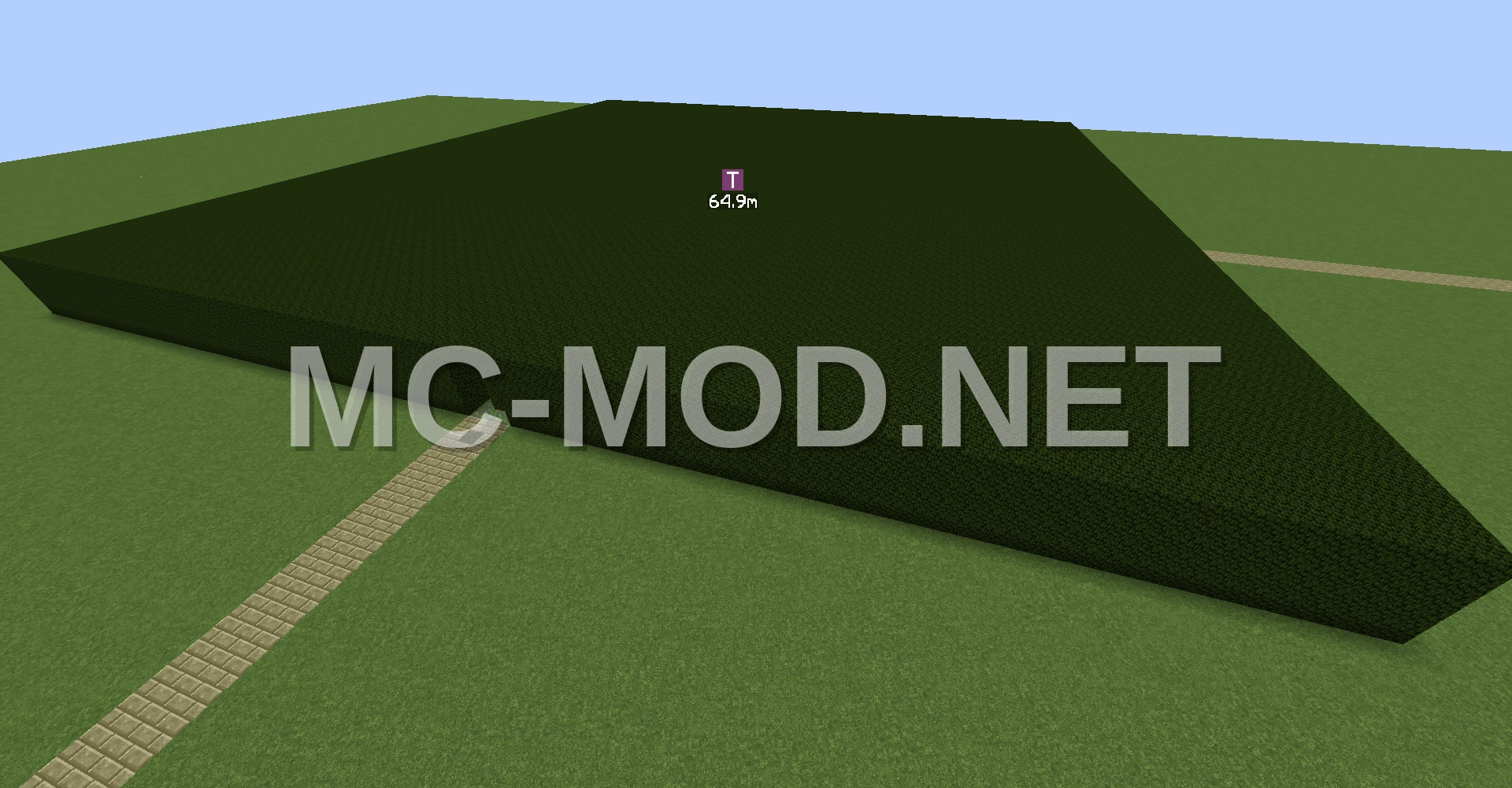 Giant Maze Structure