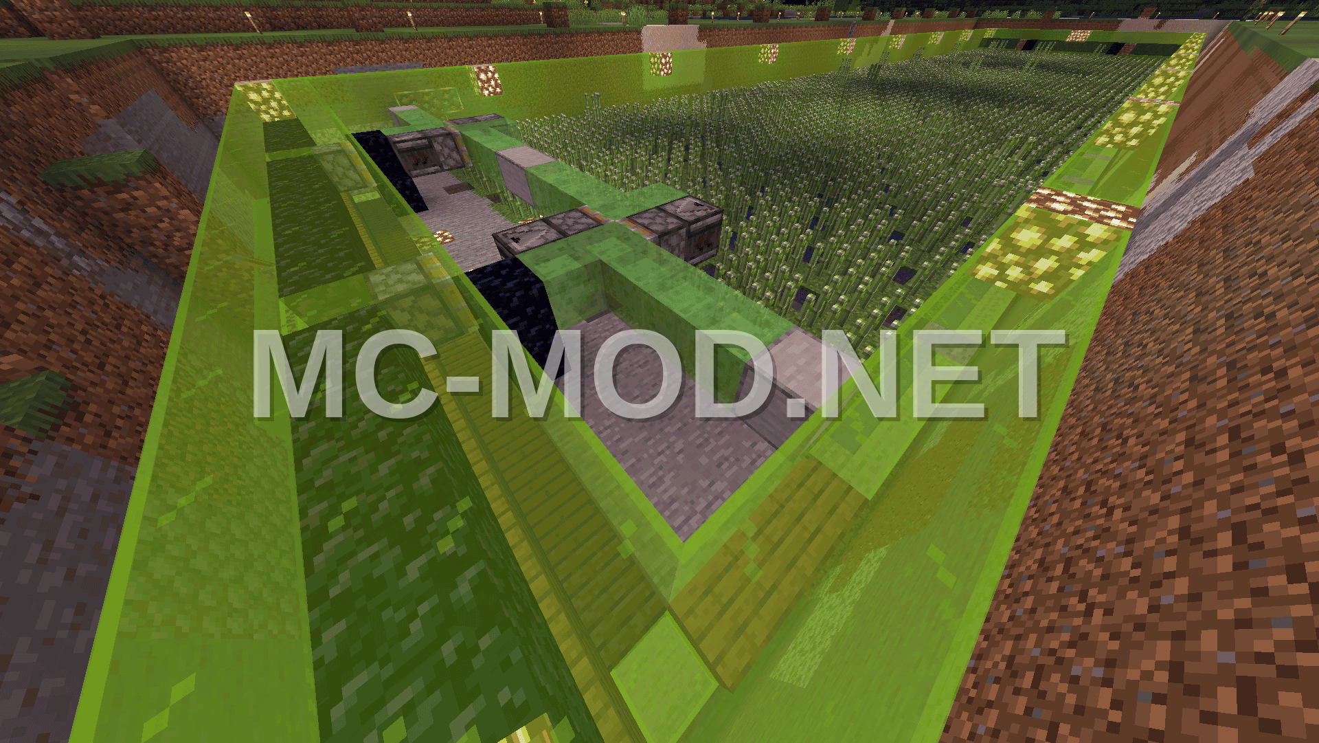 Optimized Sugar Cane Farm Design