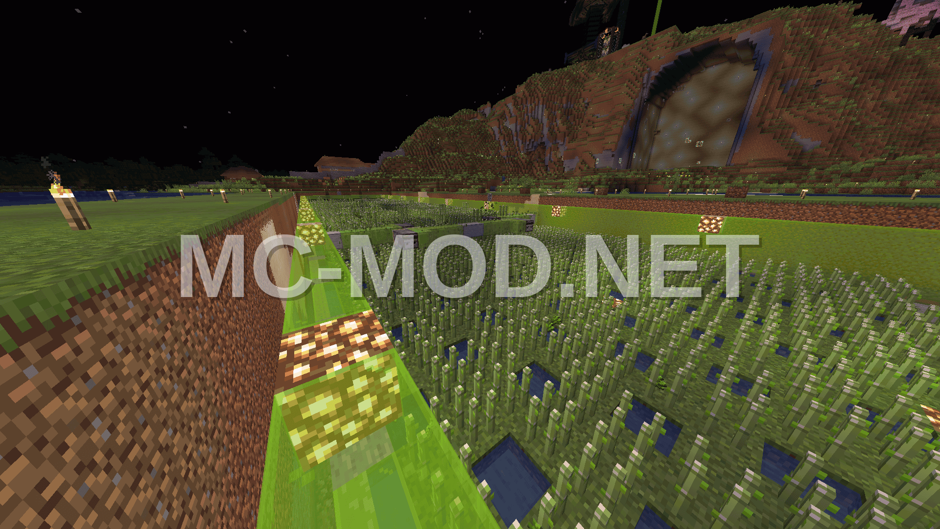 Optimized Sugar Cane Farm Design