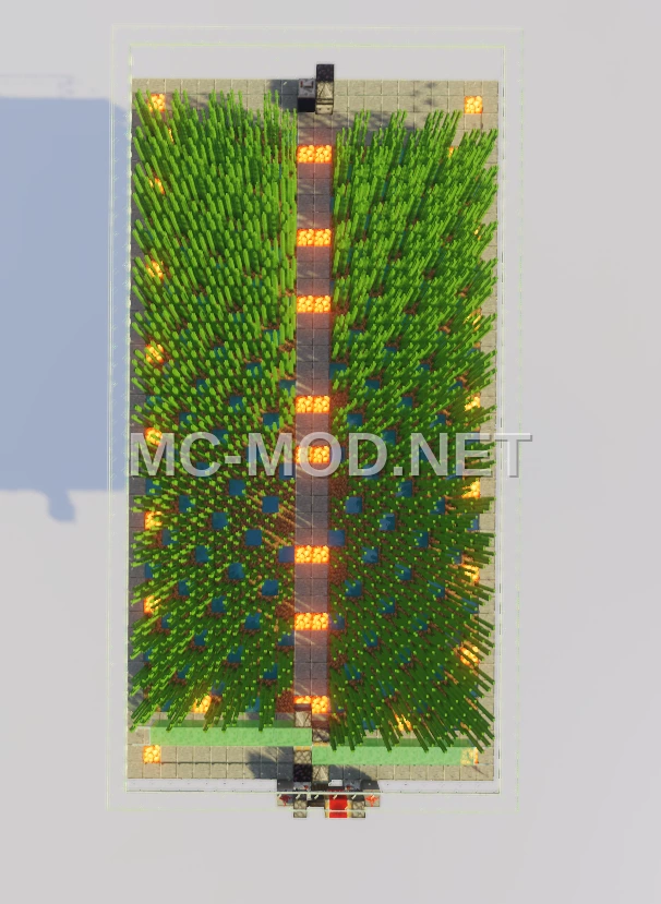 High-Capacity Sugar Cane Farm