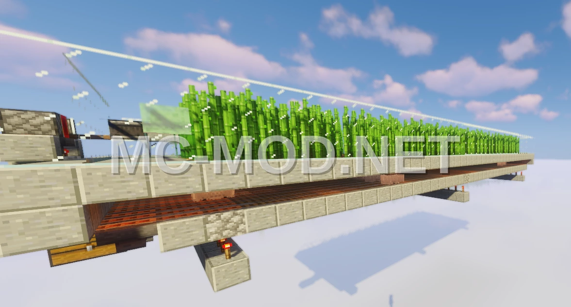 High-Capacity Sugar Cane Farm