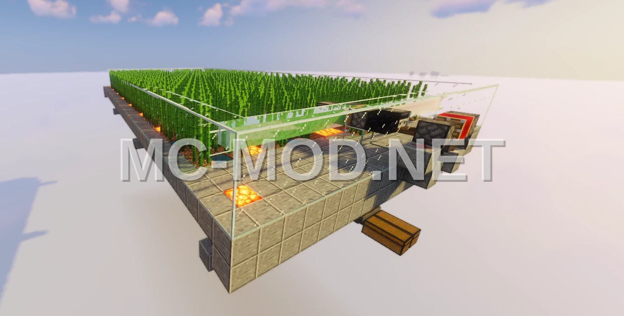 High-Capacity Sugar Cane Farm