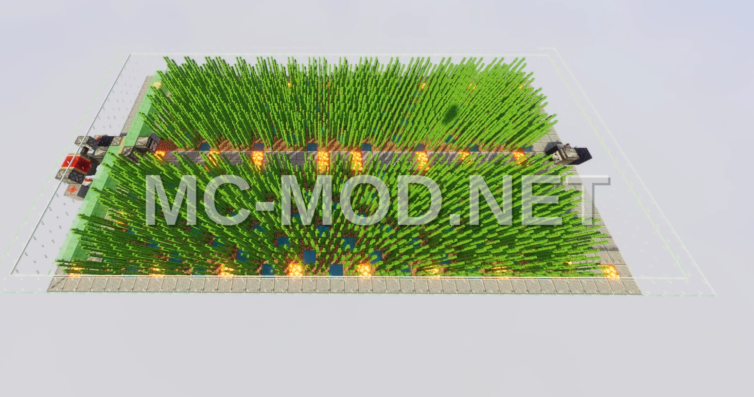 High-Capacity Sugar Cane Farm