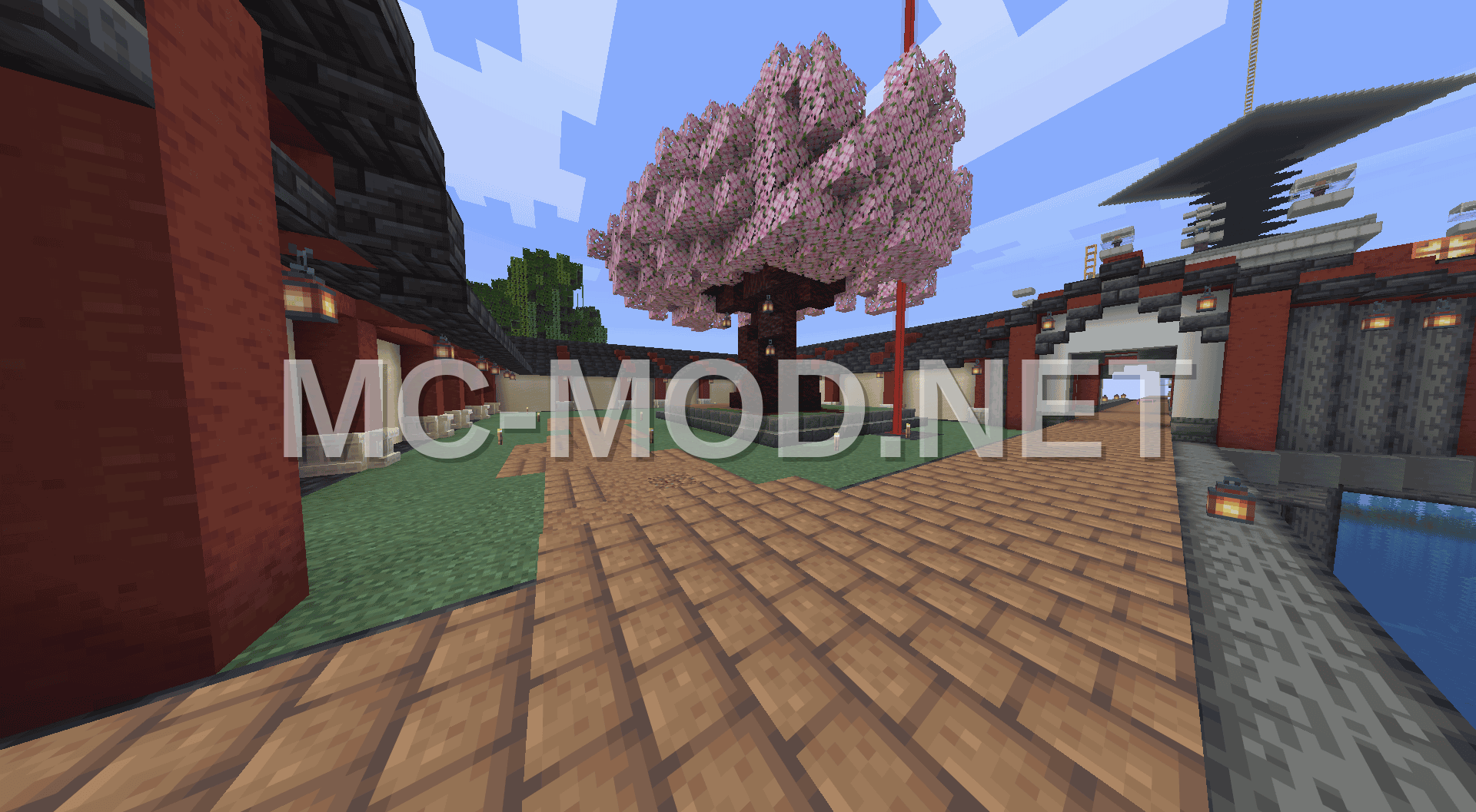 Japanese Trading Hall Cherry Blossom Tree