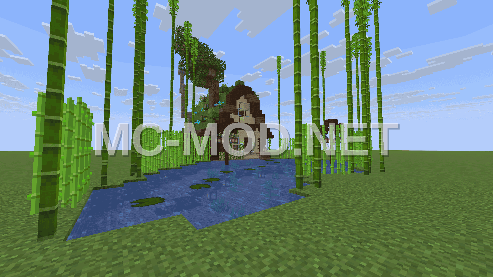 Small Lake House