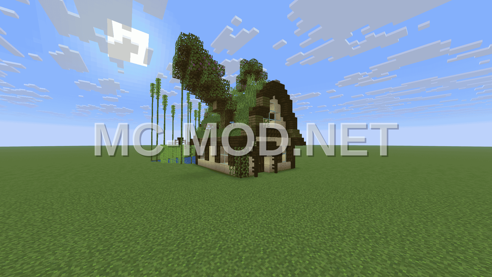 Small Lake House