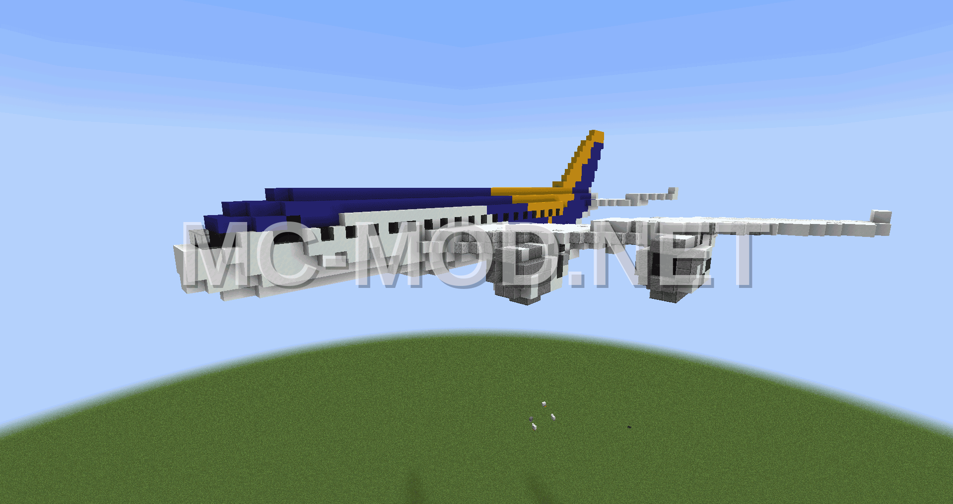 Large Airplane