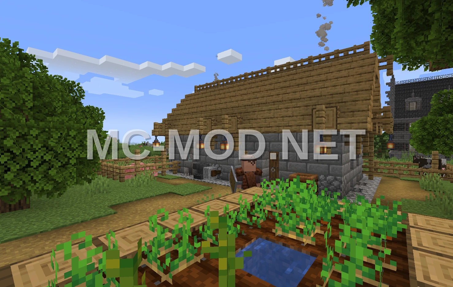 Leniland Story Farmhouse 1