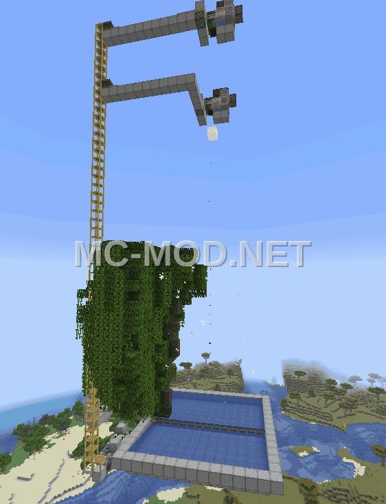 Mangrove Wood Farm