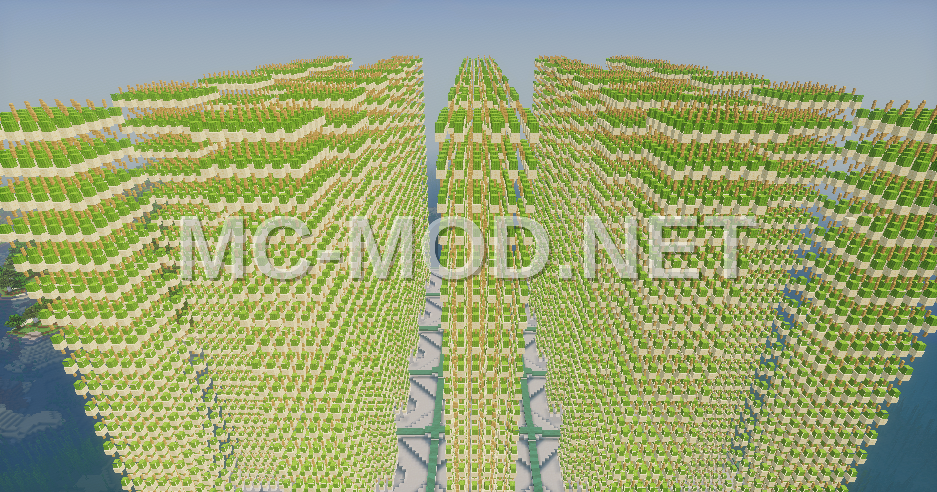 Massive Cactus Farm