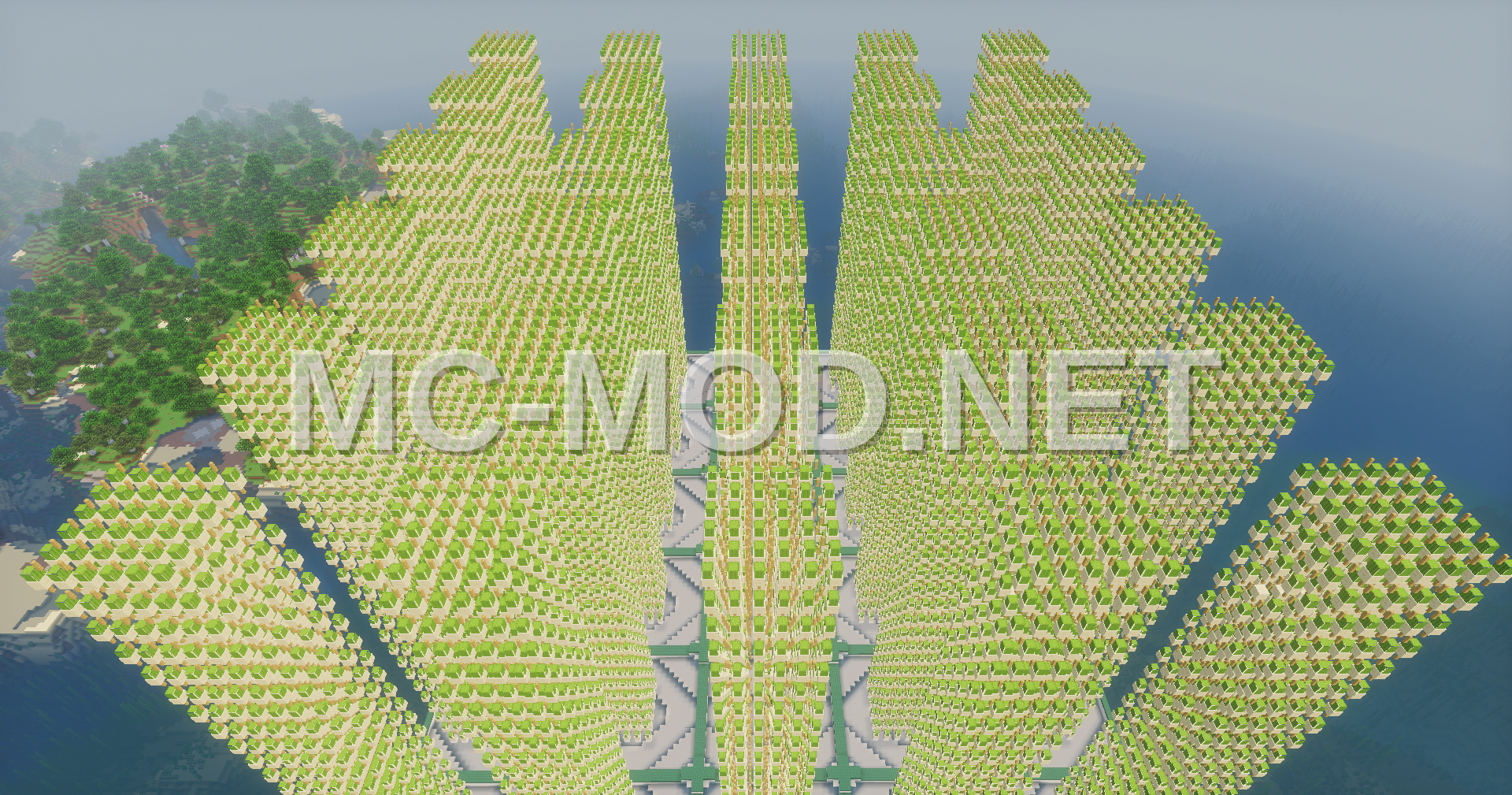 Massive Cactus Farm