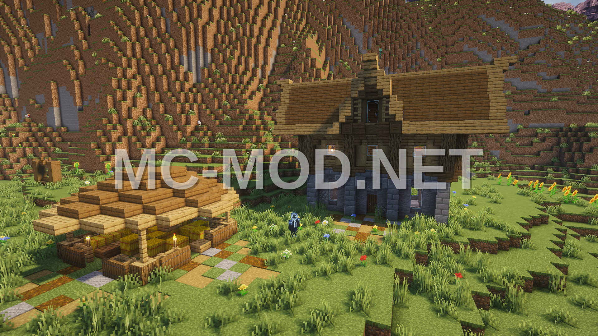 Medieval Agricultural Farm