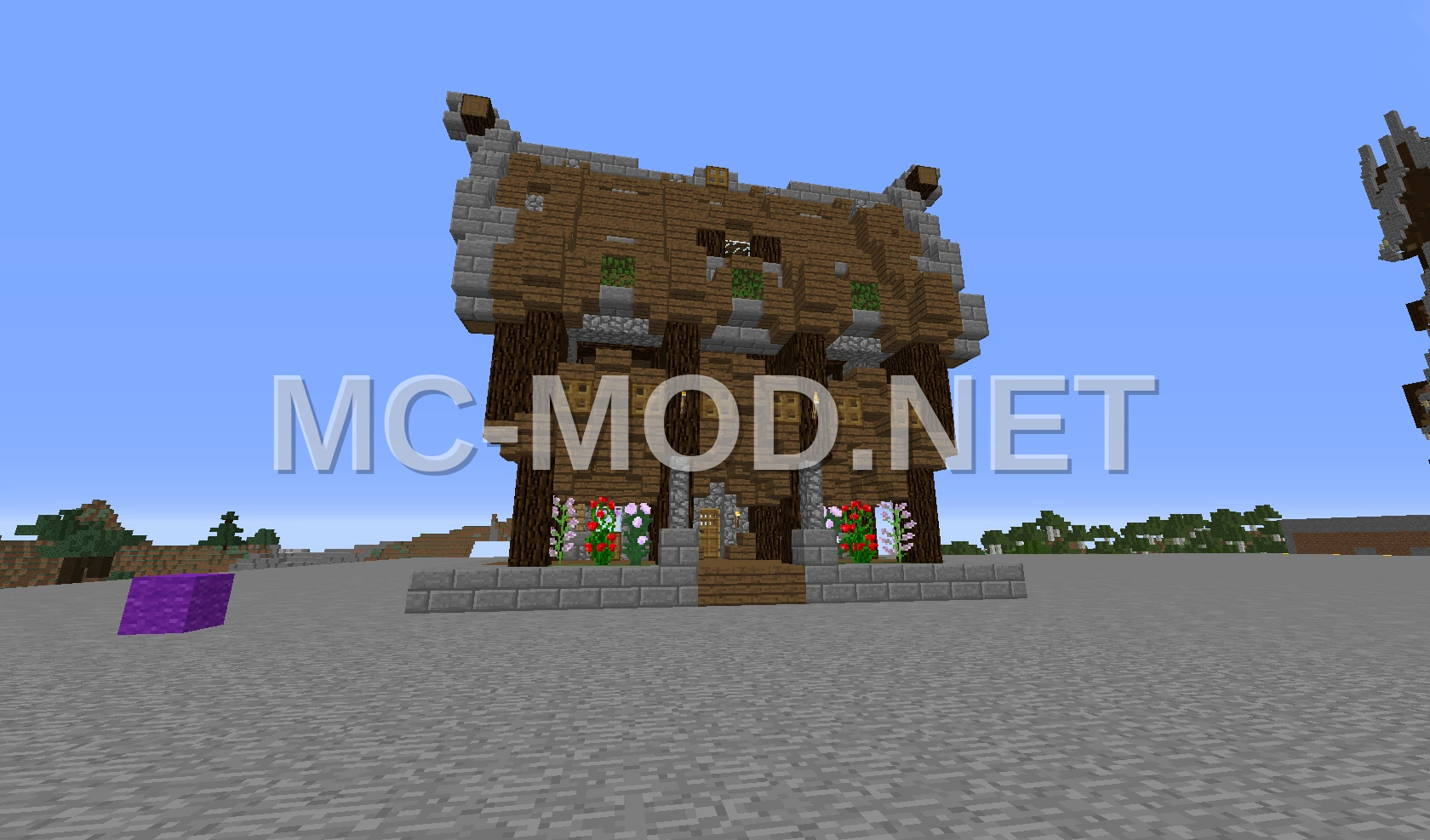 Medieval Building Structure