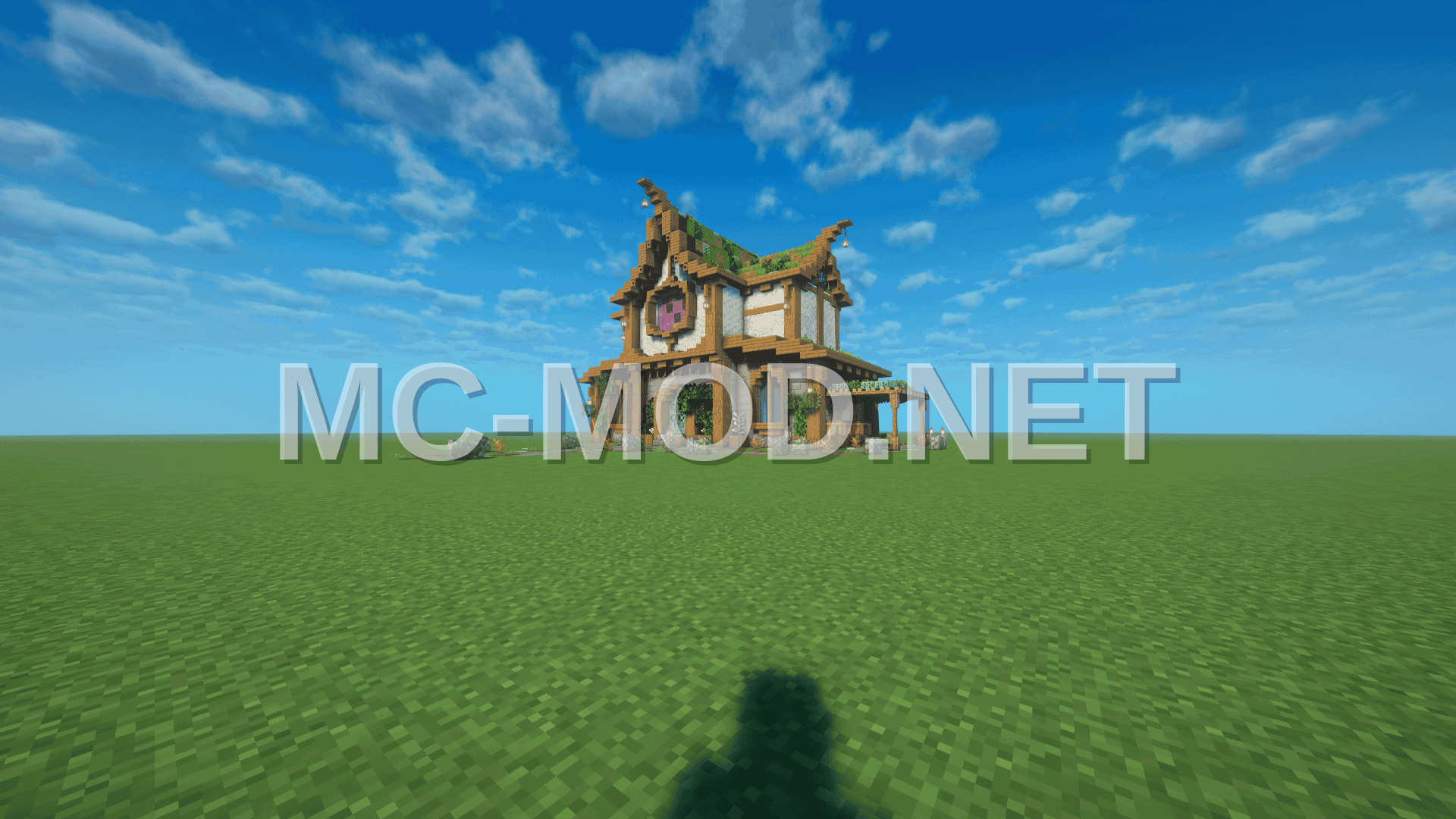 Medieval Starter House Schematic