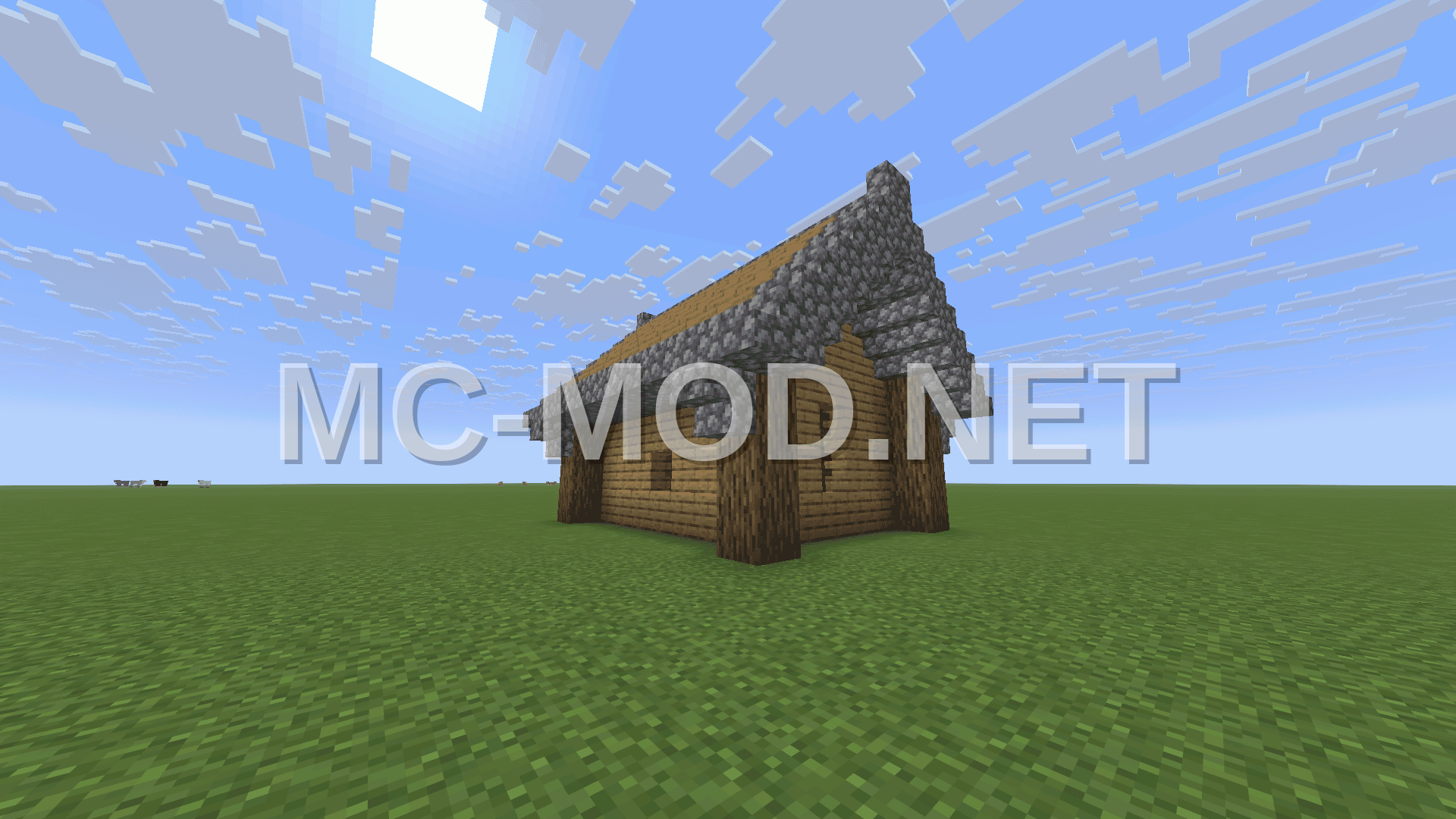 Medieval House Exterior