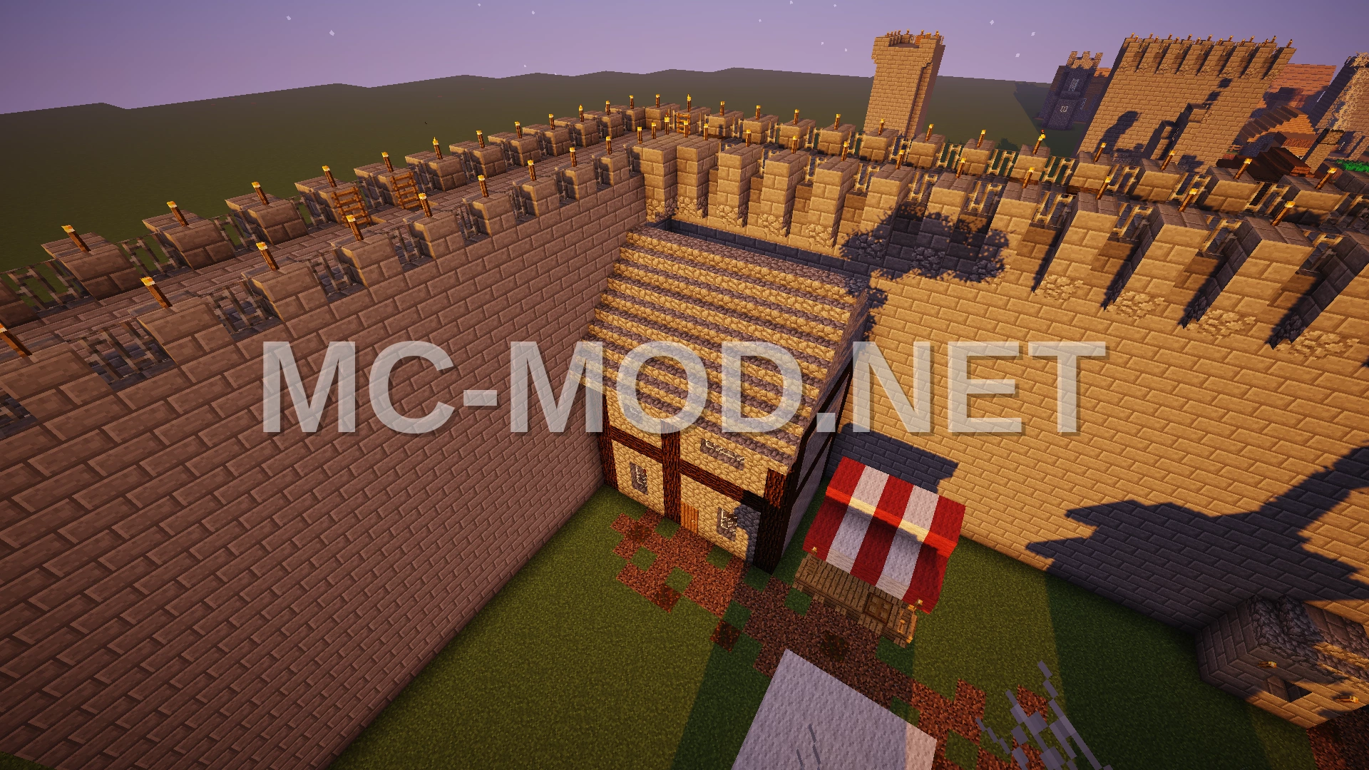 Medieval Library House