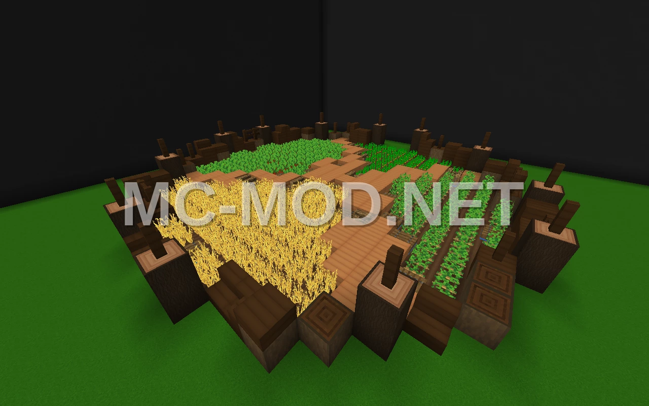 Medieval Village Farmhouse