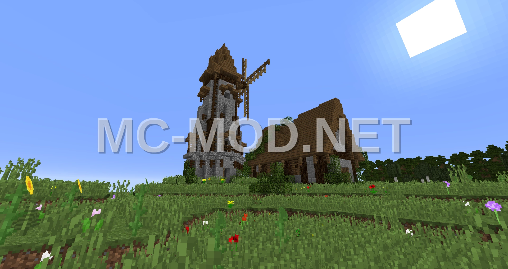 Medieval Windmill House