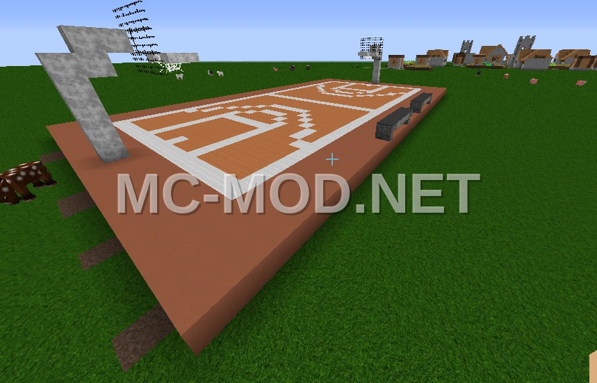 Minecraft Basketball Court