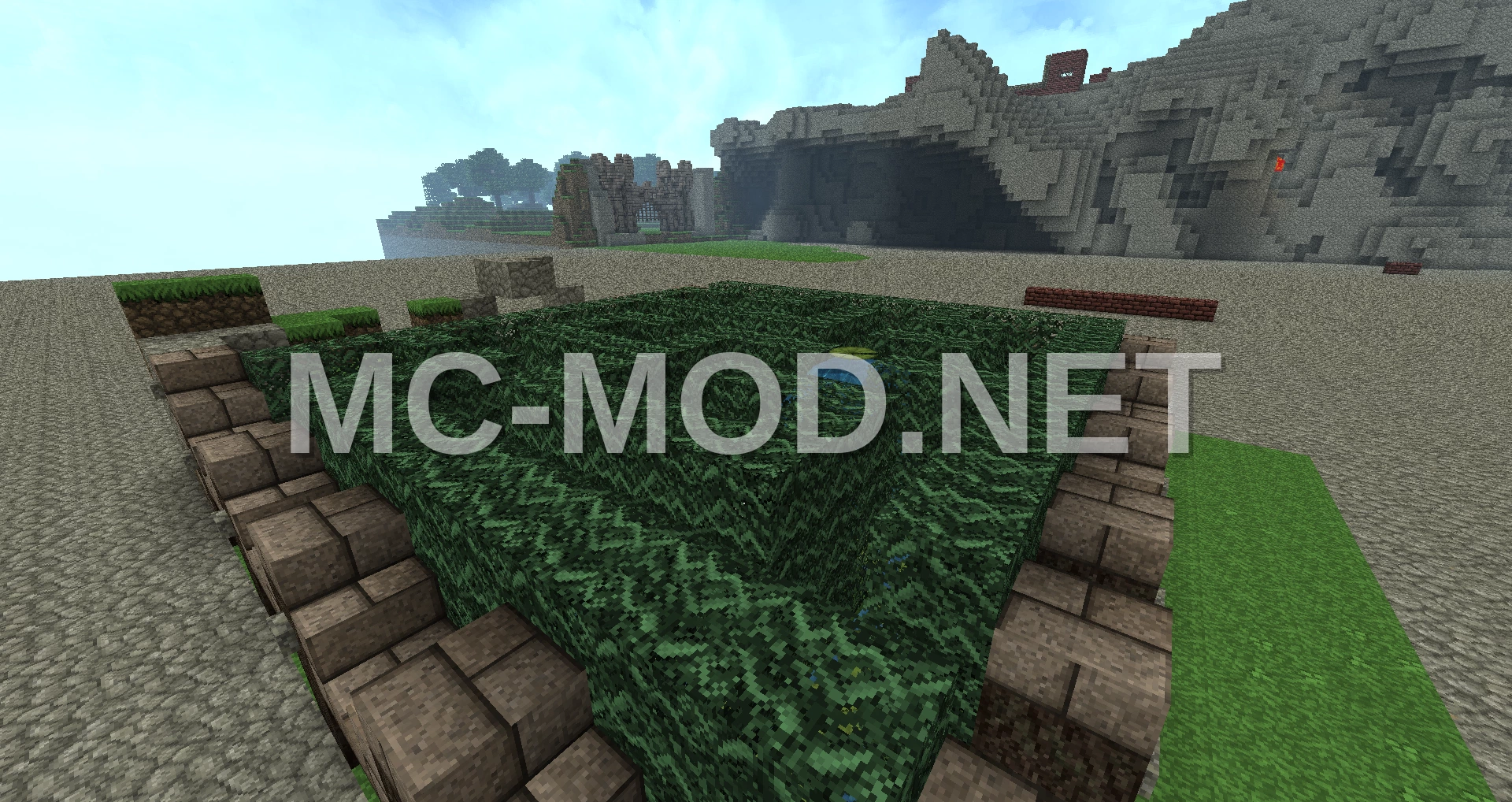 Mini Hedge Maze With Cave Entrance