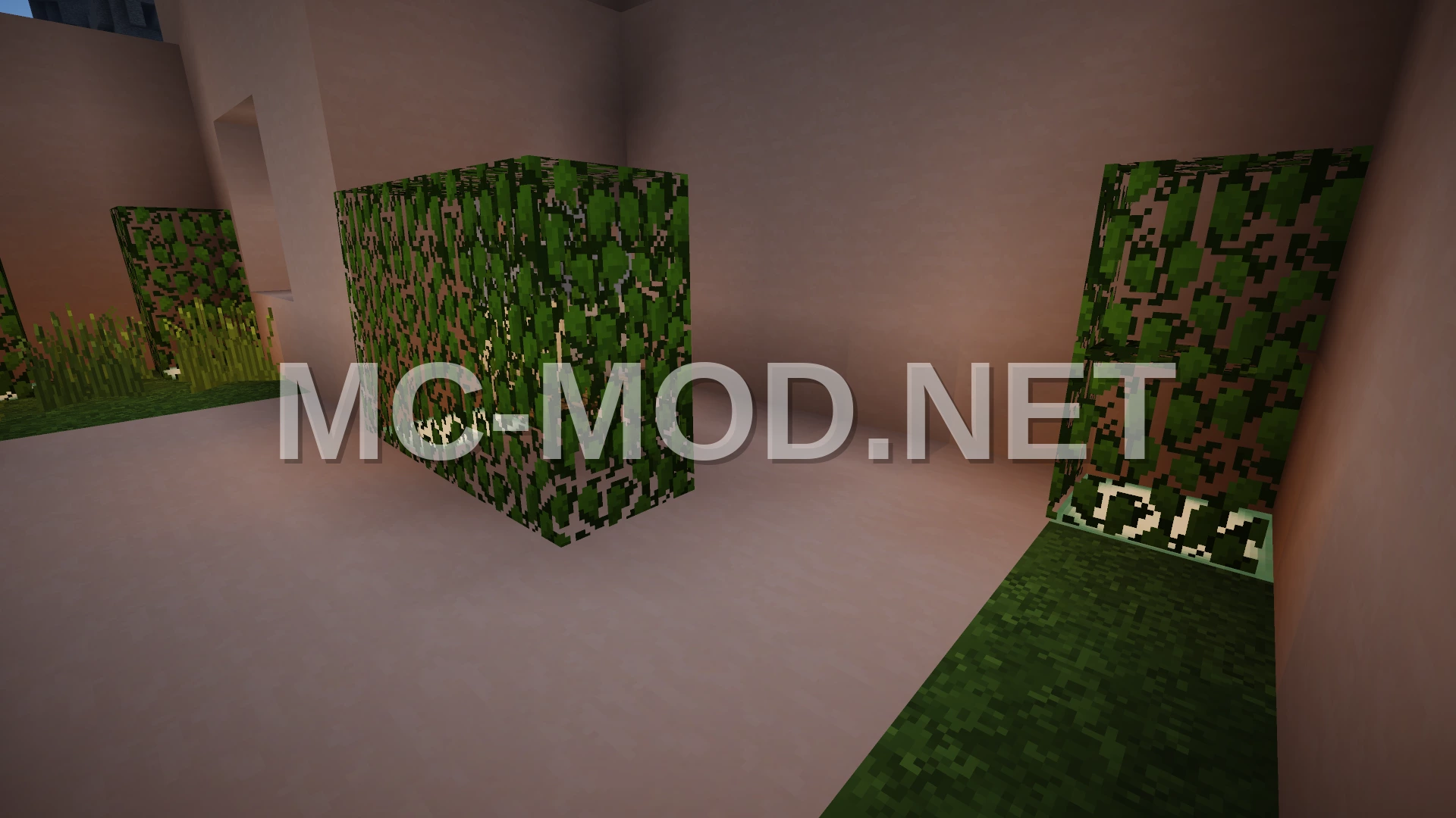 Modern White Terracotta House