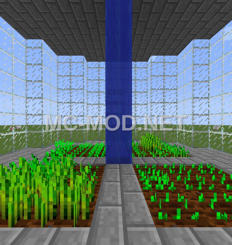 Modern Glass Tower House