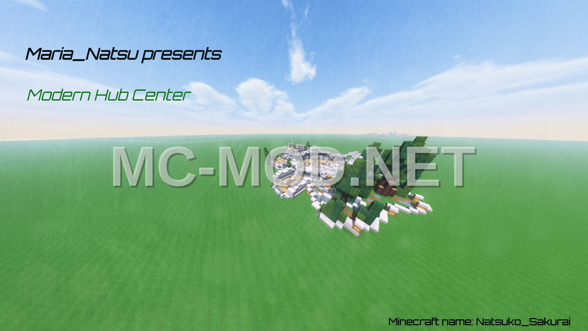 Modern Style Hub Center