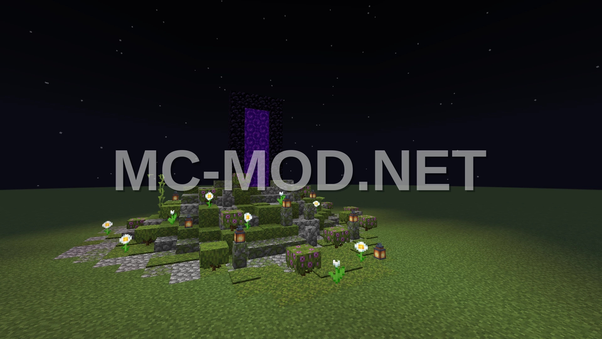 Nether Portal Cover