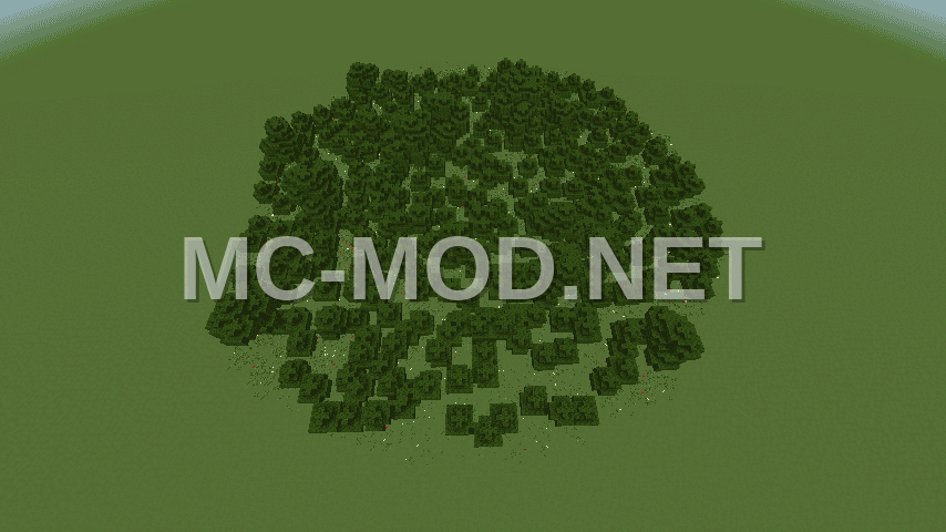Oak Forest Biome