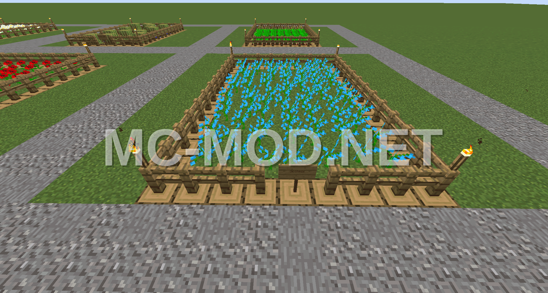Orchid Farm Build