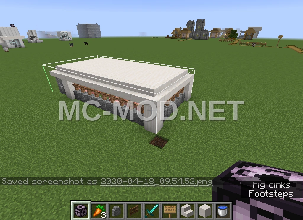 Pig Farm and Slaughterhouse