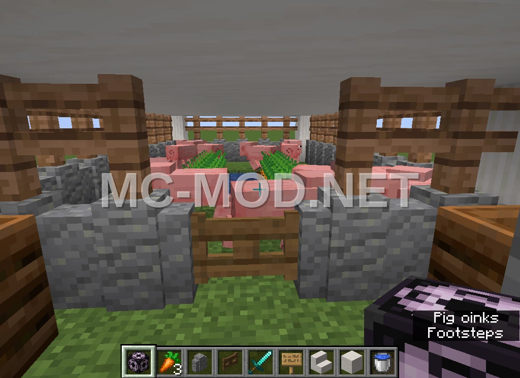 Pig Farm and Slaughterhouse