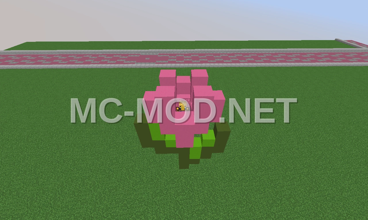 Pink Tulip Flower