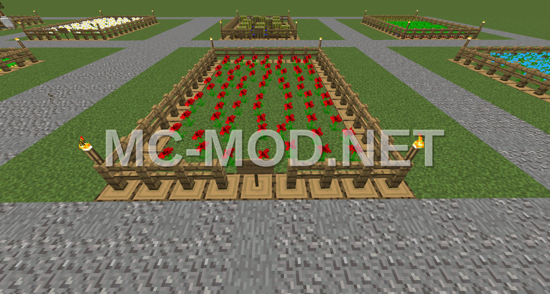 Poppy Farm
