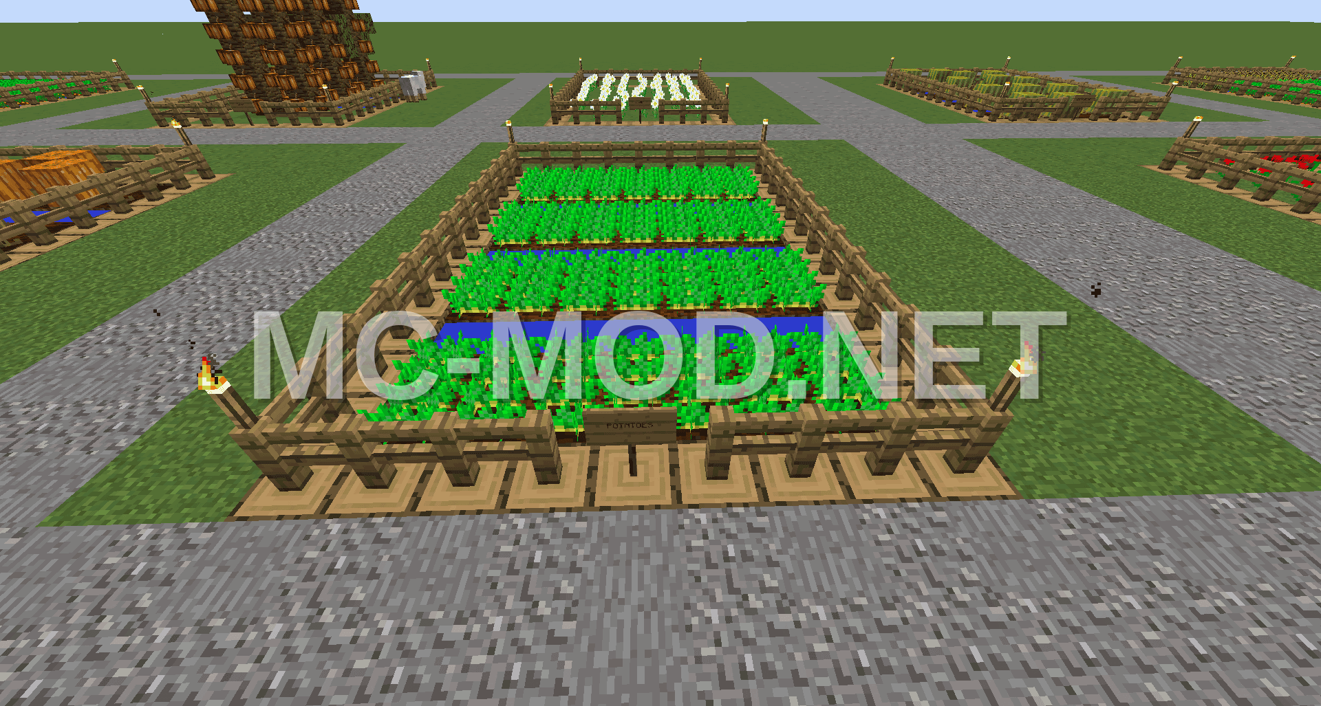 Potato Farm Building