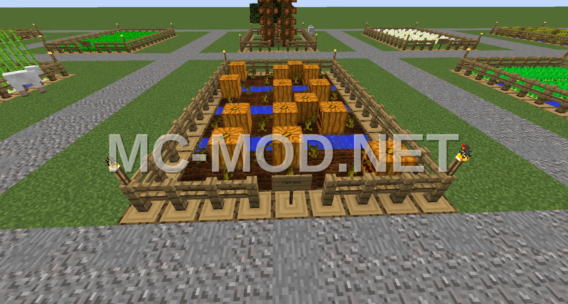 Pumpkin Farm Structure