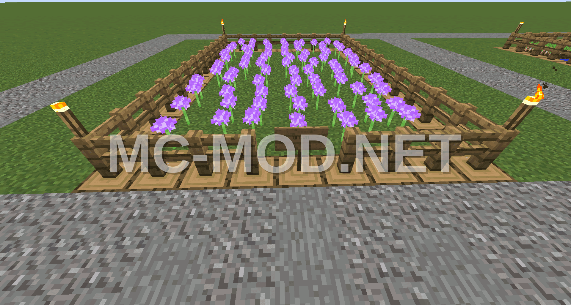 Randy’s Allum Farm